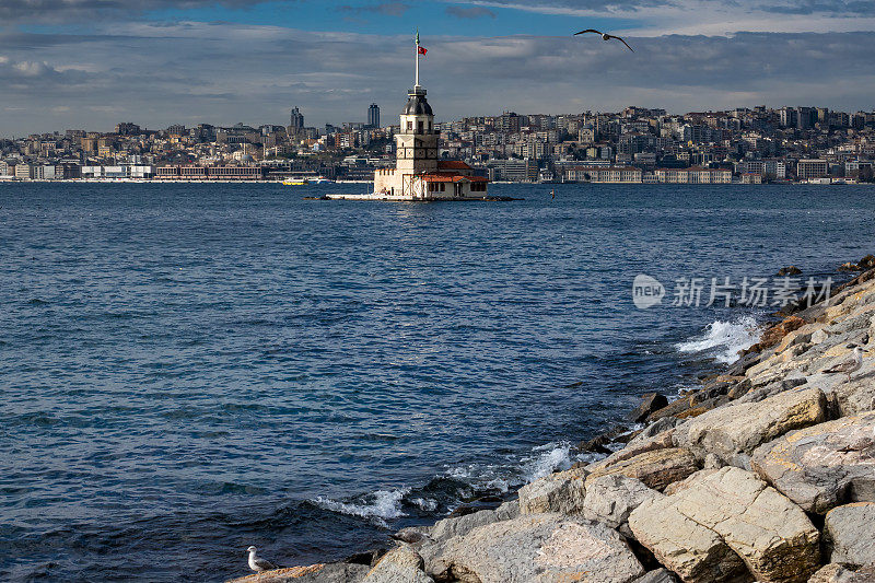 伊斯坦布尔，Kiz Kulesi，海鸥和少女塔